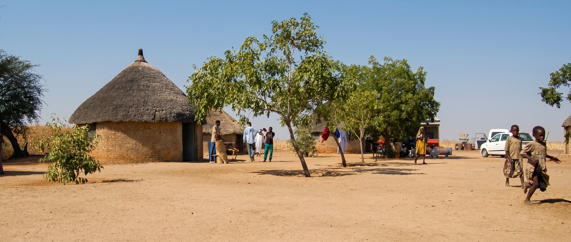 Village life in the Sudanese gum belt — thatched homes under shade trees
