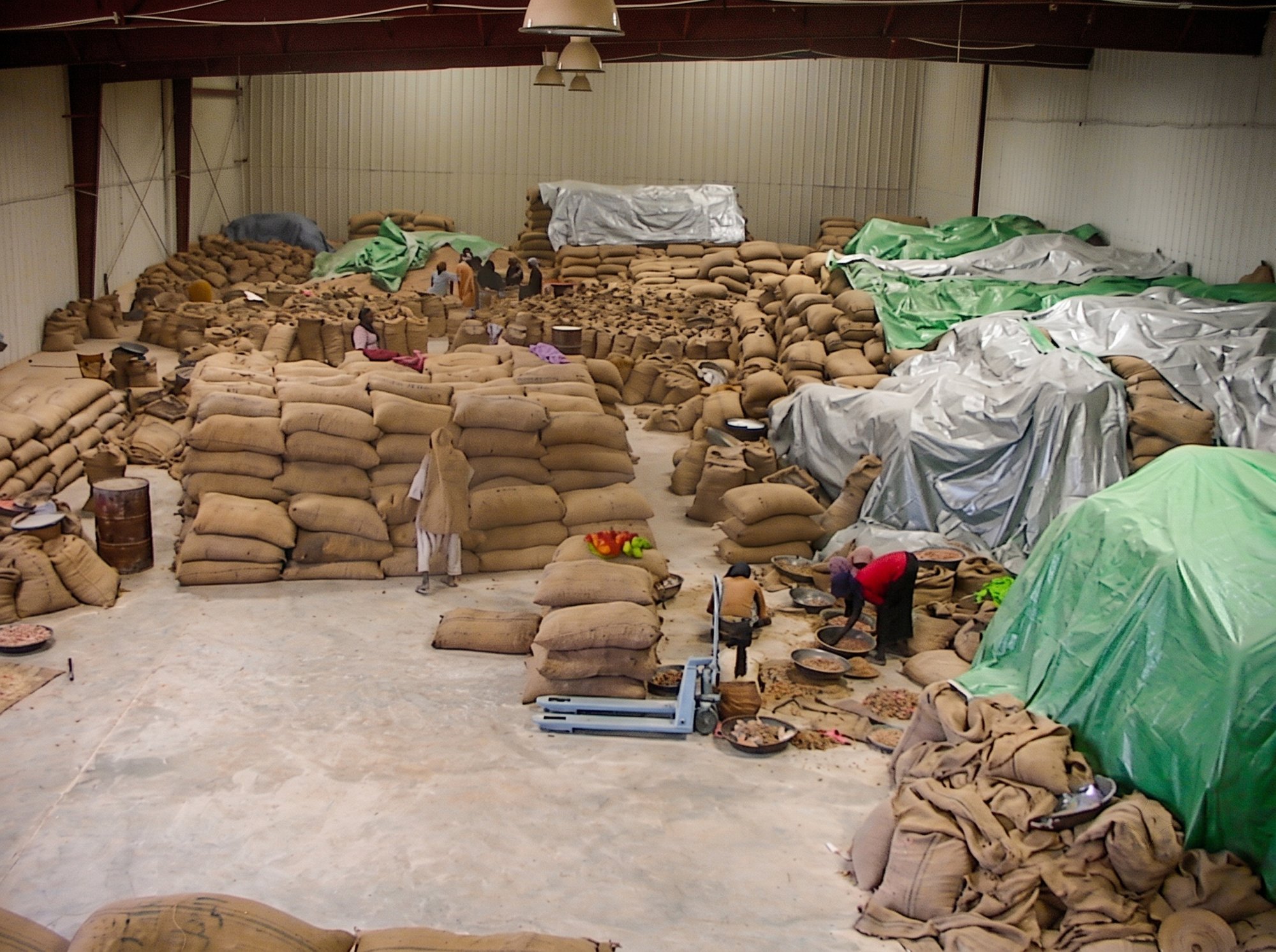 An origin intake warehouse: mountains of burlap sacks of raw gum arabic under tarpaulins, with workers weighing and sorting