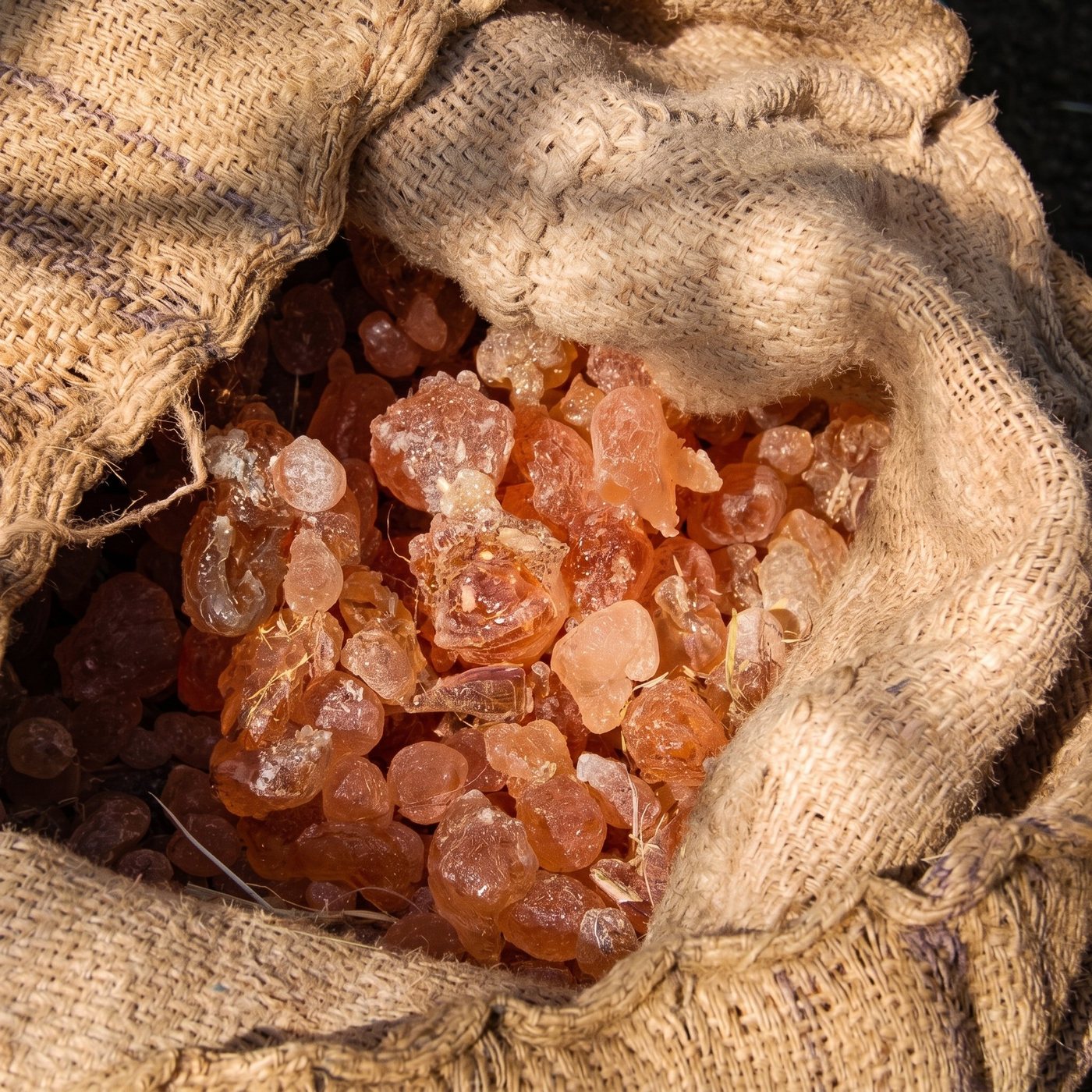 Collected and bagged at origin