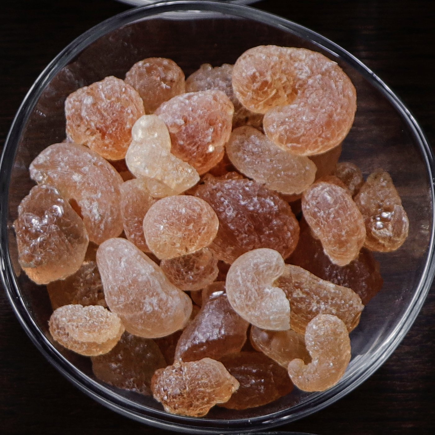 Cleaned Acacia senegal (Hashab) gum lumps in a glass bowl