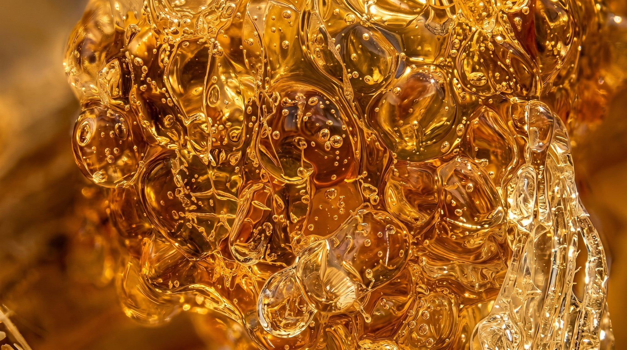Macro of translucent amber acacia gum
